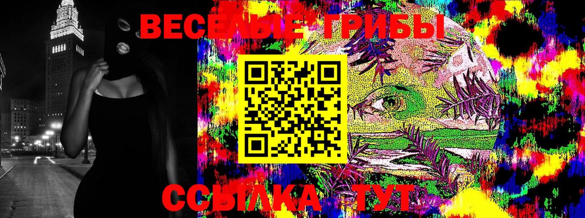 Псилоцибиновые грибы MAGIC MUSHROOMS Гусь-Хрустальный