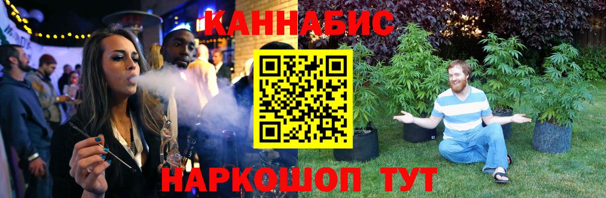 Бошки Шишки семена  Конопля SATIVA & INDICA  Конопля план  Гусь-Хрустальный  Вход с VPN  Конопля OG Kush 